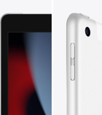 10.2" Планшет Apple iPad 2021 Wi-Fi + Cellular A2604 3/64 GB A13 Bionic 4G, 2160 x 1620, iOS, серебристый [mk493hn/a]