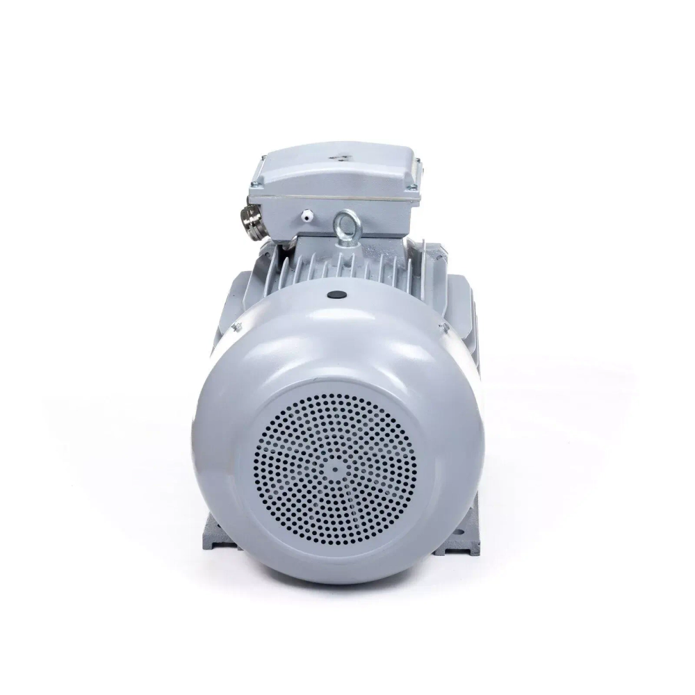 Электродвигатель ESQ PR 280 S4-SDN-Б1-S12-IE3 75/1500 IMB3