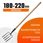 GRINDA 180 х 220 х 1300 мм, четырёхрогие, кованные зубья, антикор. покрытие, деревянный черенок высш. сорт, вилы копальные кованые (39722)