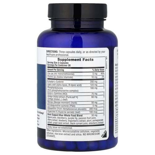 NaturesPlus, Brainceutix® Boost, 90 капсул