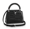 Сумка Louis Vuitton Capucines Mini черный