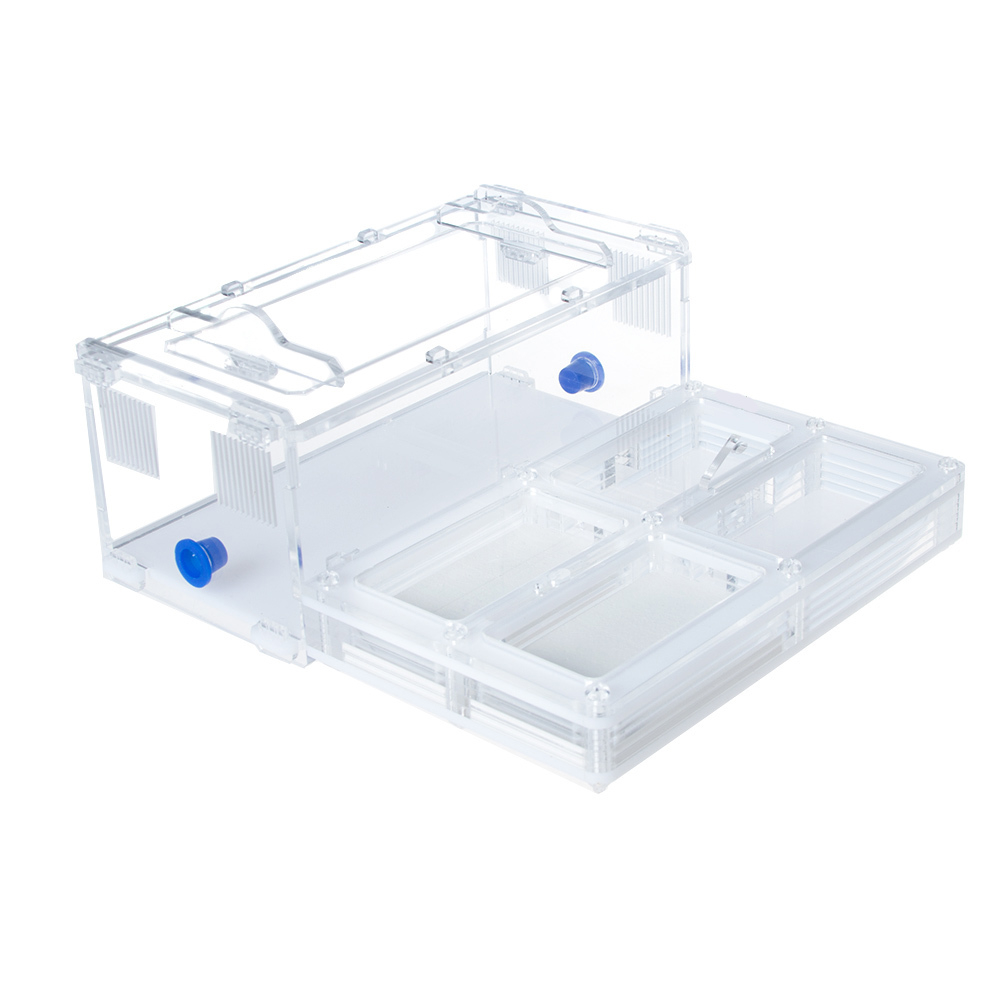 муравьиная ферма Direct