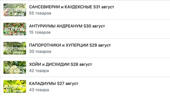 Вторая часть информации по августовским предзаказам – что осталось