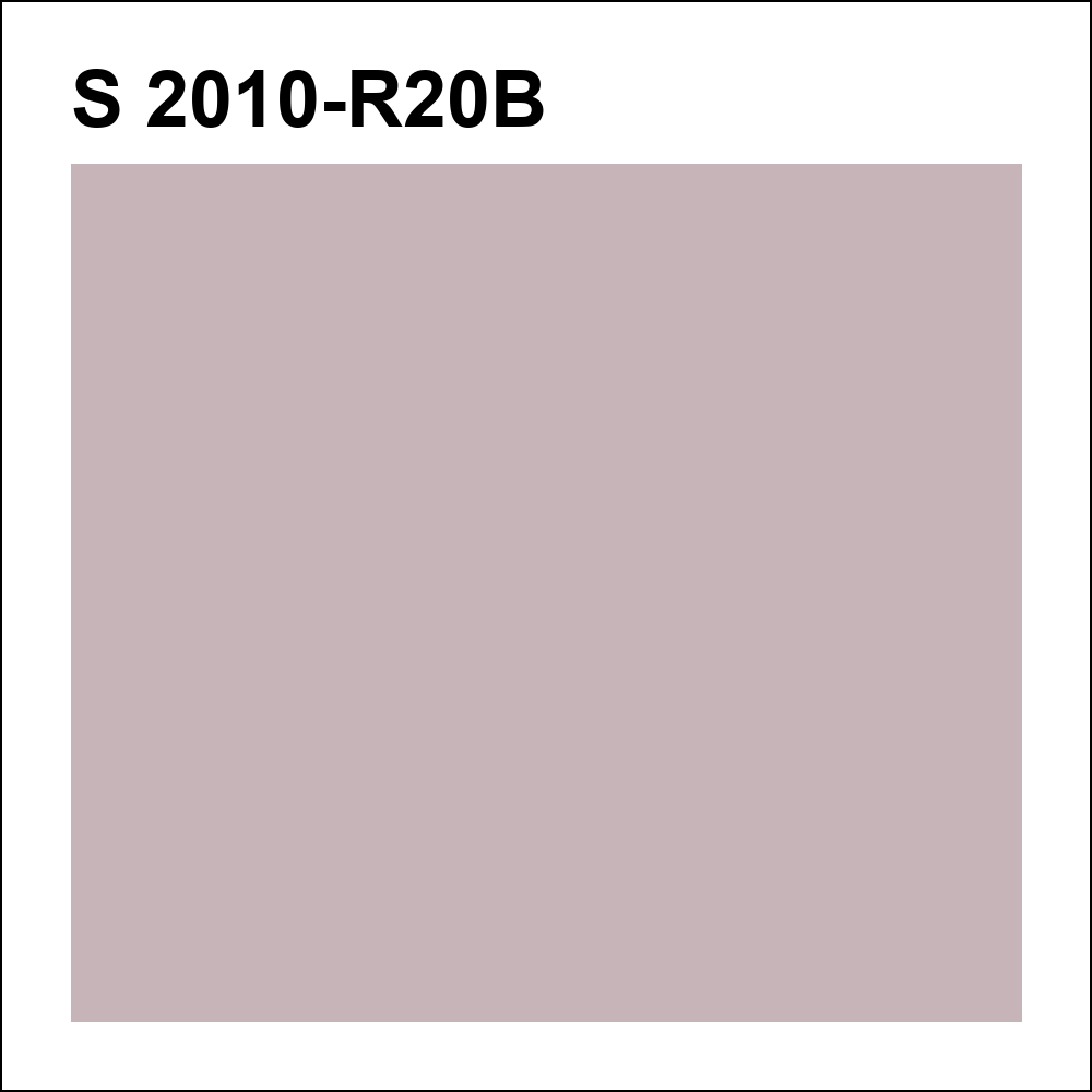 S 2010-R20B за кг