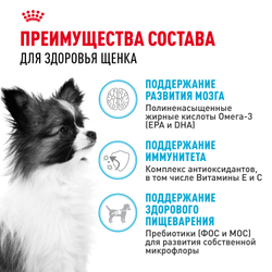 Royal Canin X-Small Puppy Корм сухой для щенков очень мелких размеров до 10 месяцев - 0,5 кг
