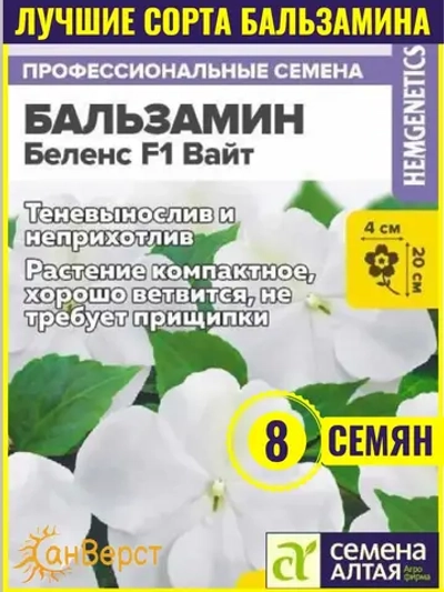 Семена бальзамина Беленс F1 Вайт для комнаты и сада