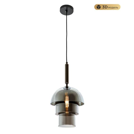 Подвесной светильник Modelux Modestyle MS.220.250 BK