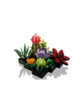 Конструктор Botanical Collection 10309 Суккуленты