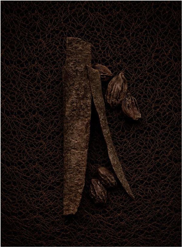 Yves Saint Laurent Splendid Wood (Le Vestiaire des Parfums)