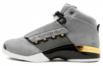Кроссовки Jordan Air Jordan 17 Retro Trophy Room T