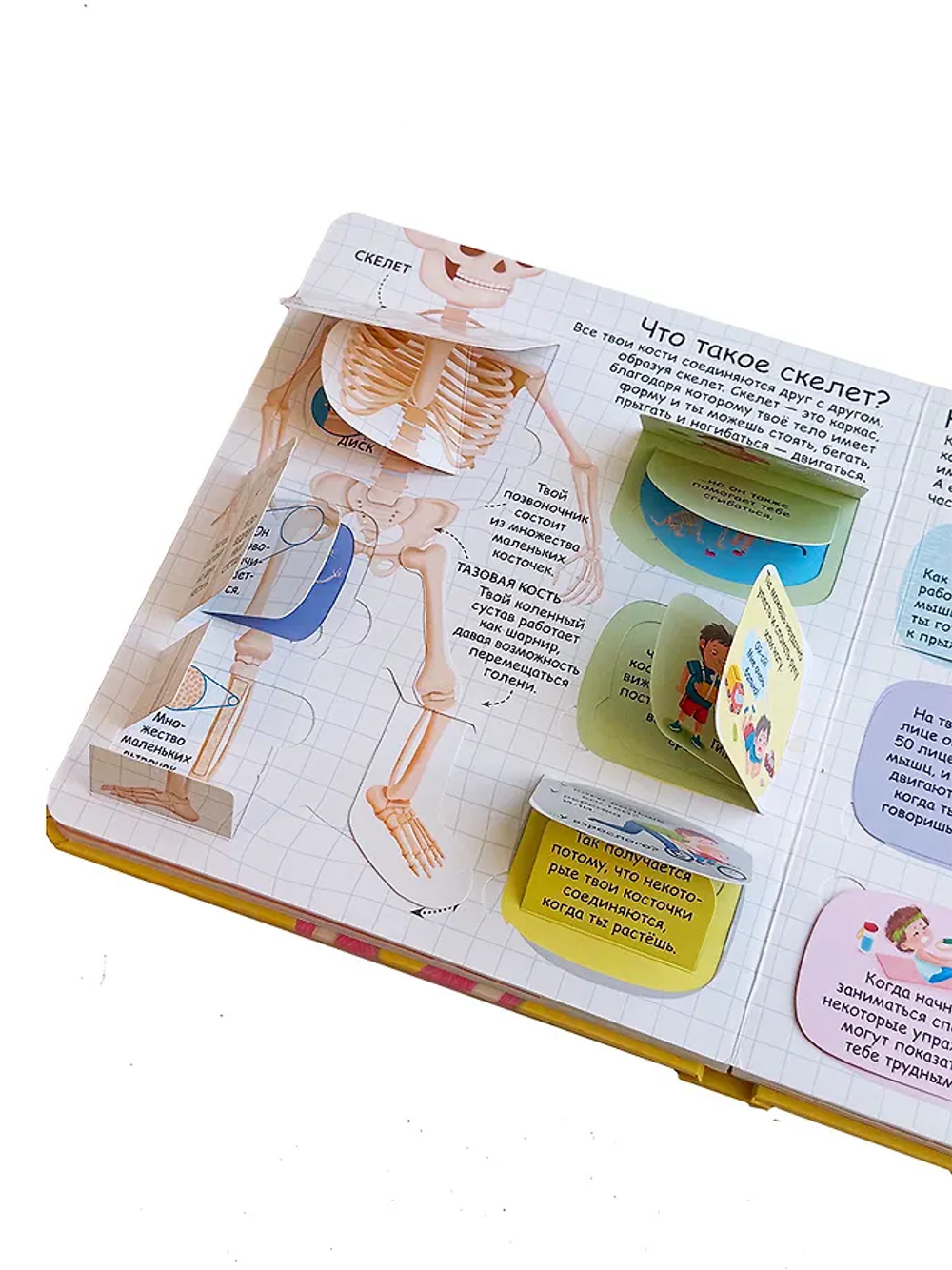 Секреты человека. New