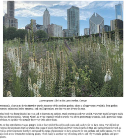 Planting the Natural Garden by Piet Oudolf and Henk Gerritsen