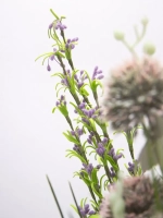 Композиция в ящике "Гортензия"