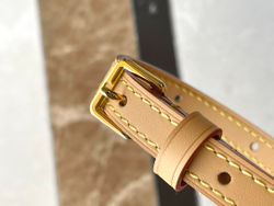 Louis Vuitton Mini Bumbag