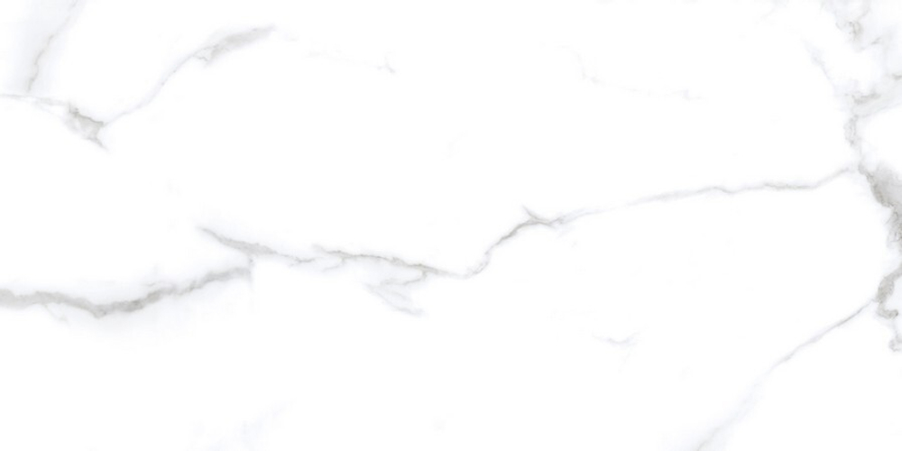 Neodom Classic Marble Statuario Chic Polished 60x120
