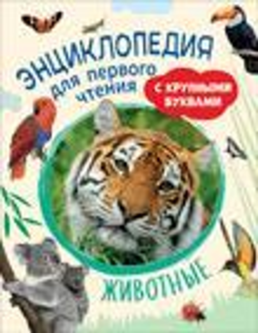 Животные. Энциклопедия для первого чтения с крупными буквами