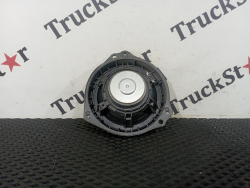 Динамик 2020г