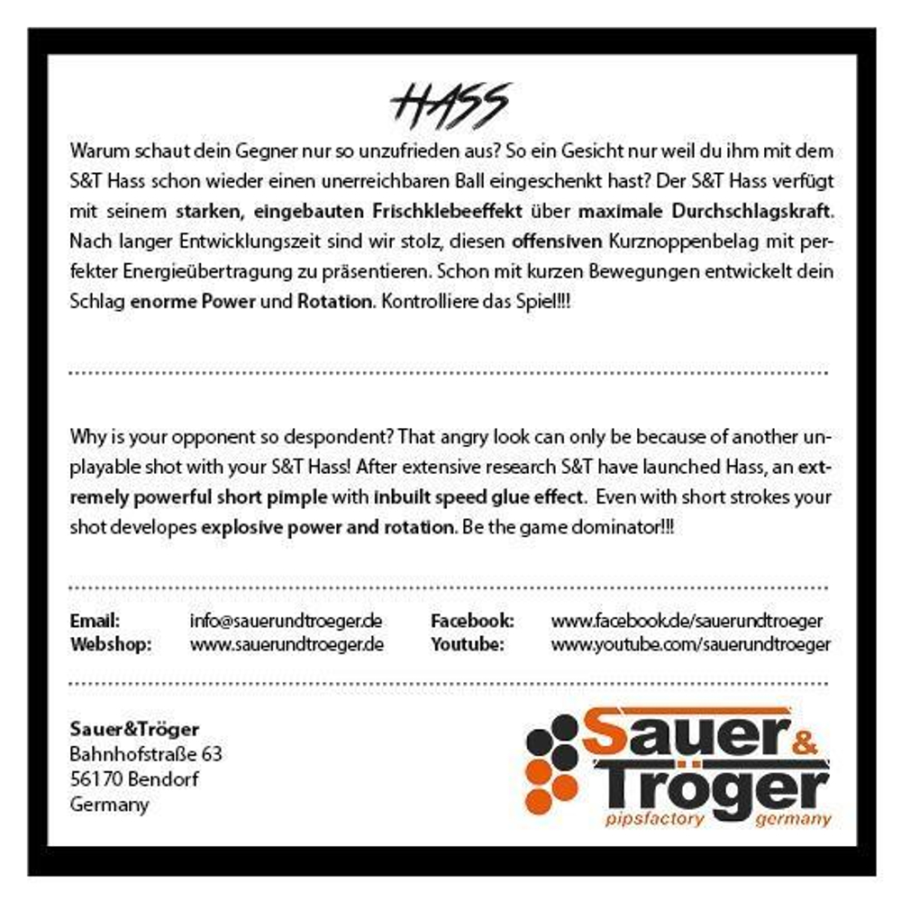 Sauer Tröger Hass