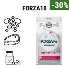 Forza10 -30%