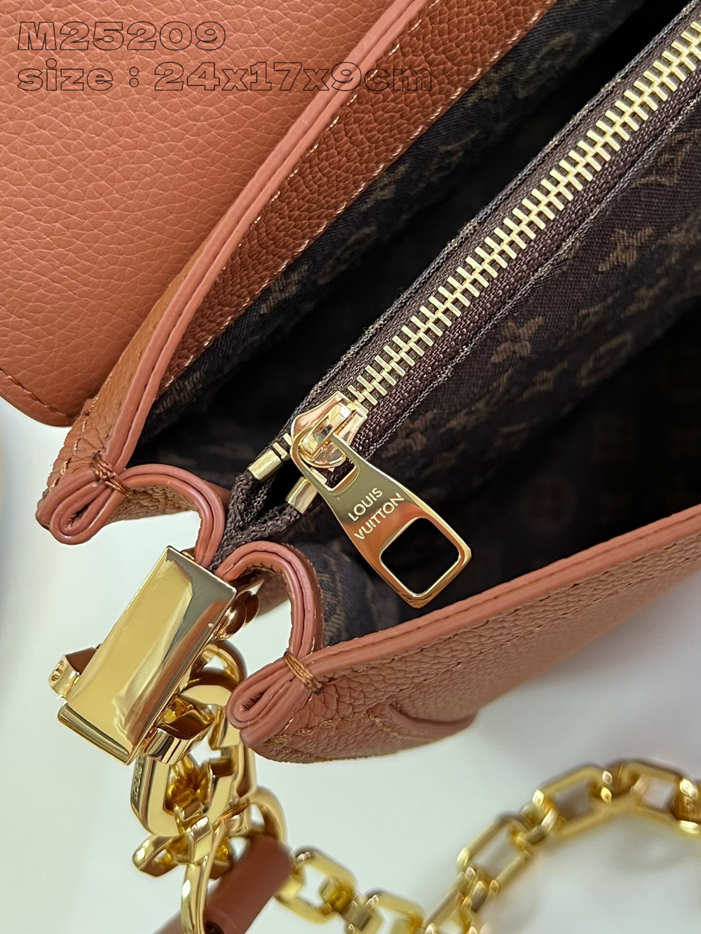 Louis Vuitton Dauphine Soft MM