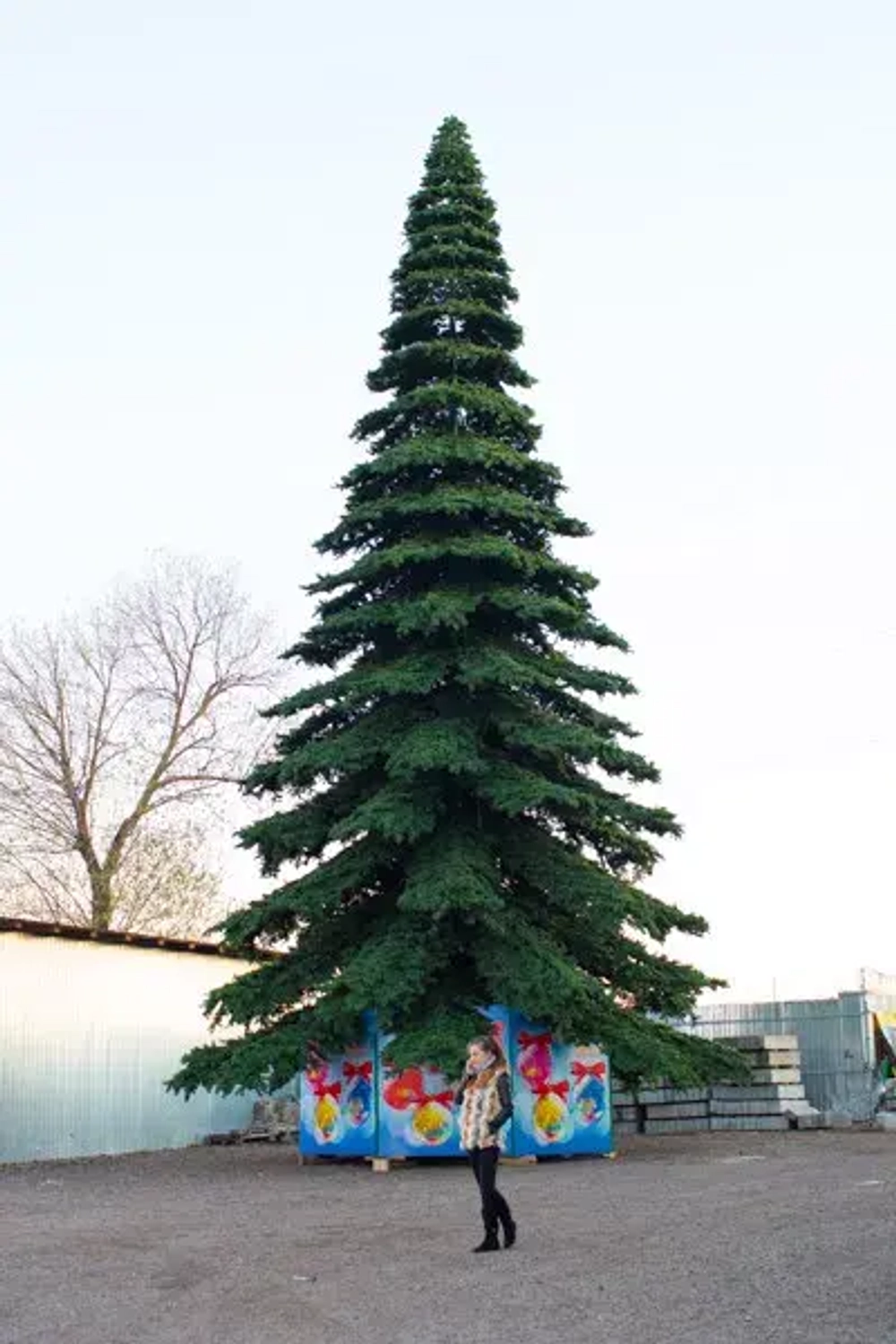 Уличная елка Таежная Премиум зеленая 21 м., ствольная, ПВХ, Green Trees (GT21TAPVC)