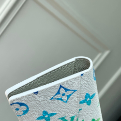 Louis Vuitton Pocket Organizer