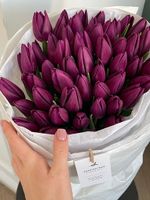 Букет из 51 фиолетового тюльпана - доступен к заказу с 3.03.2025