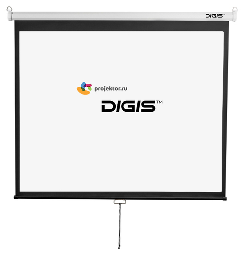 Экран настенный Digis DSOD-4306 300x220 см (4:3)
