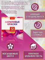 Набор глянцевых акриловых красок 12 цветов