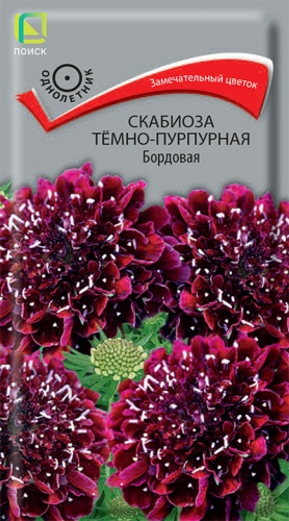 Скабиоза Бордовая 0,2г Ц Поиск