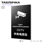 Табличка Ведется видеонаблюдение, на дверь и стену, информационная и мультиязычная (русский, английский, китайский), серия GLOBAL, 25х15 см, Айдентика Технолоджи