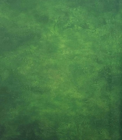 Дебютант фон неопреновый