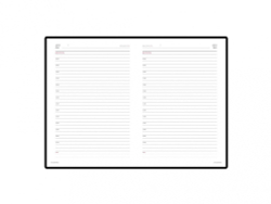 Подарочный набор Parker: Ежедневник красного цвета с золотом и шариковая ручка Parker Jotter XL YellowGold, цвет стержня синий