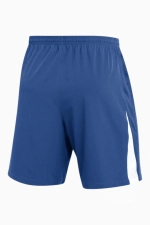 Шорты Nike Dri-FIT Venom 4