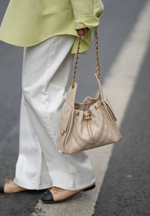 Бежевая сумка Chanel 25 Small HANDBAG