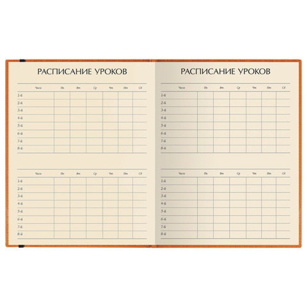 Дневник 1-11 класс, кожзам (лайт), тиснение, резинка, ляссе, 48 л., АЛЬТ "MEGAPOLIS", оранжевый, 10-068/01