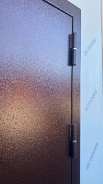 Дверь входная Леда двустворчатая