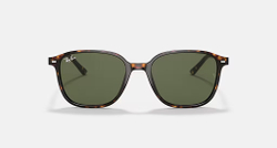 RAY-BAN LEONARD RB2193 902/31