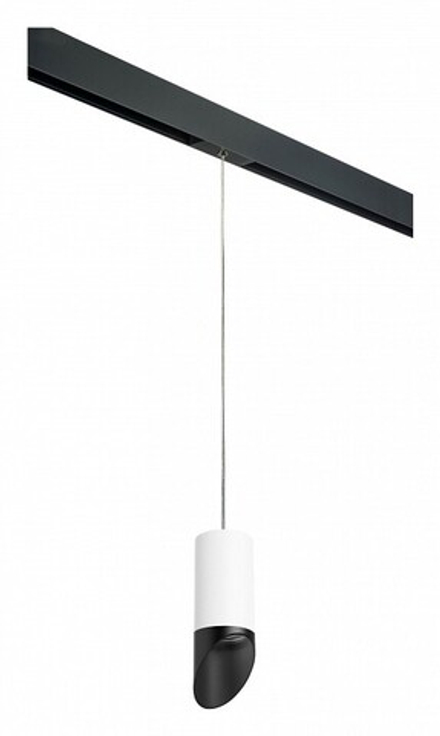 Подвесной светильник Lightstar Rullo PRORP43637