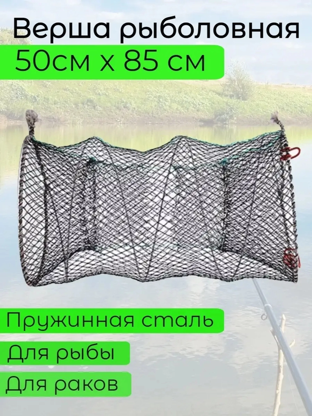 Морда 50см