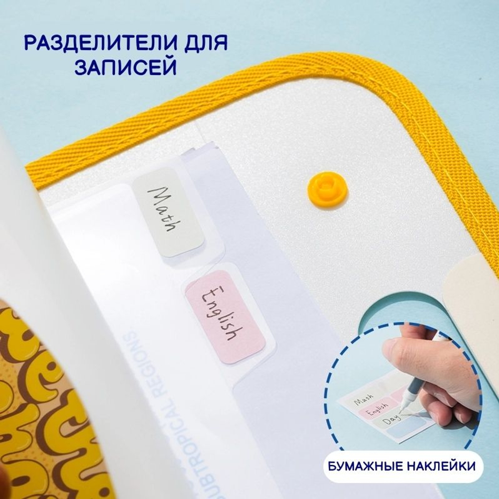 Папка-портфель для тетрадей DELI "SpongeBob", А4, на кнопках, 7 отделений