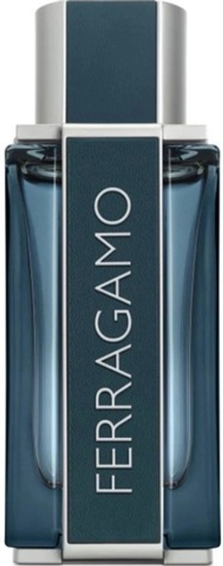 Salvatore Ferragamo Intense Leather