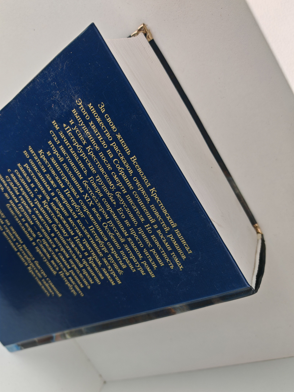 Петербургские трущобы: роман