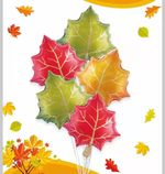 Шар (24''/61 см) Фигура, Кленовый лист, Красный, 1 шт.