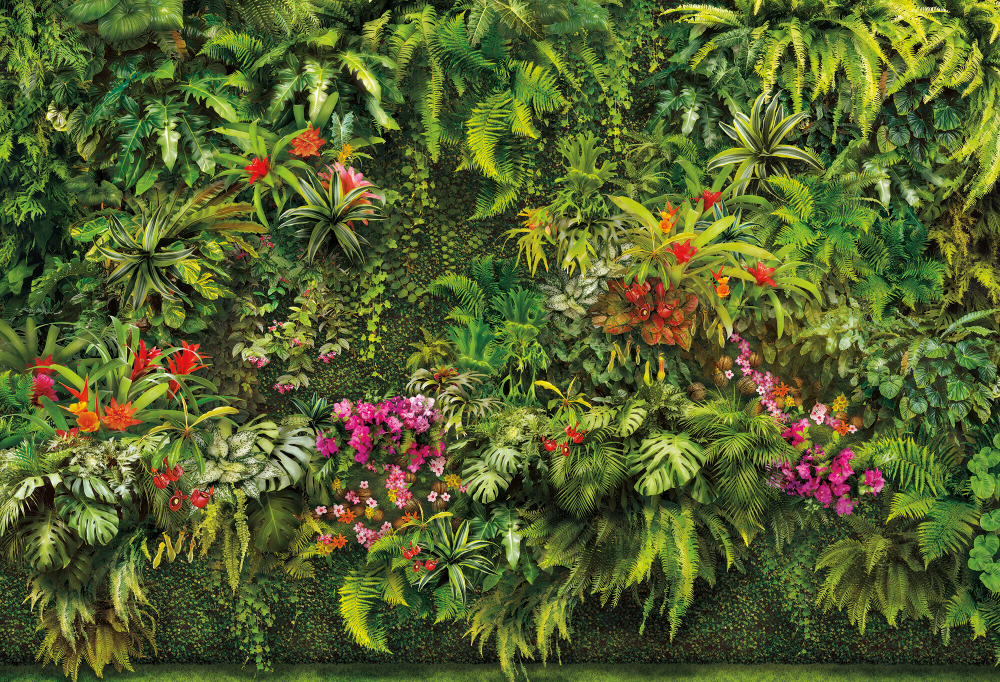 Коллекция Oasis