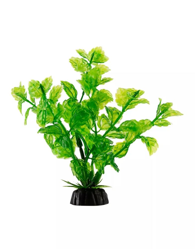Растение зеленое без цветов 4*10см