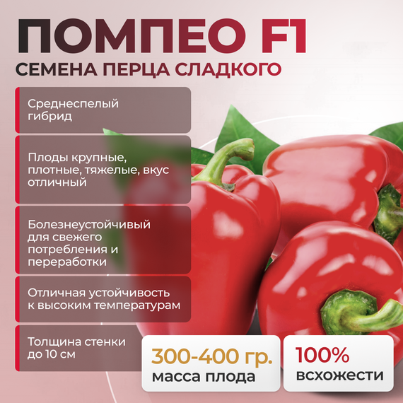ПОМПЕО F1 семена перца сладкого (Nunhems) культура