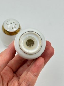 Набор из солонки и перечницы Rosenthal