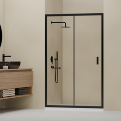 Душевая дверь RGW CL-14B (Прозрачное, 1000)