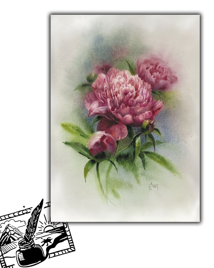 Открытка почтовая. Анастасия Беседина. Пионы